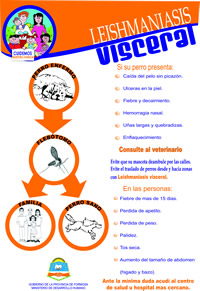 Ver Imagen