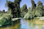 naturaleza